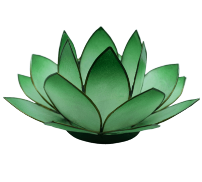 Lotus Licht | dunkles grün
