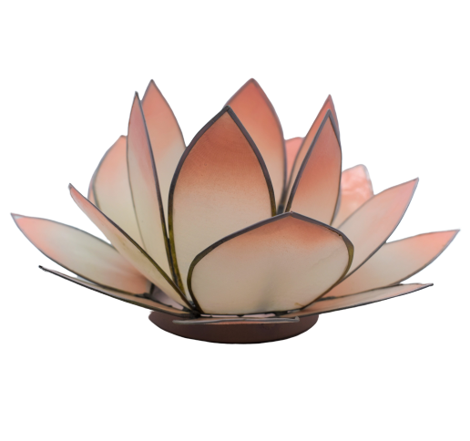 Lotus Licht | rosa