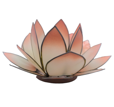 Lotus Licht | rosa