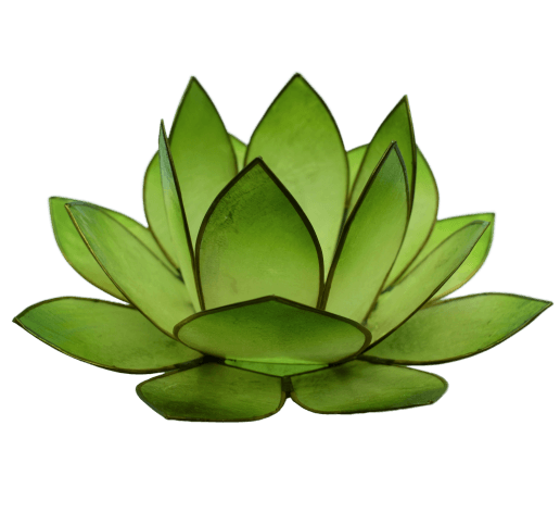Lotus Licht | helles grün