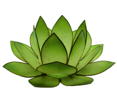 Lotus Licht | helles grün