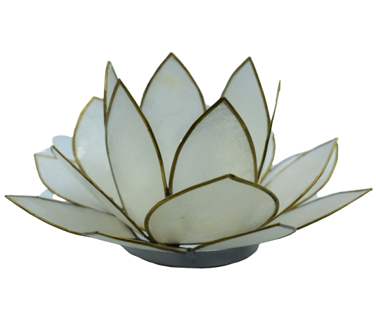 Lotus Licht | weiß
