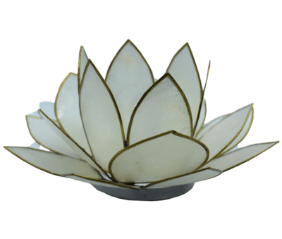 Lotus Licht | weiß