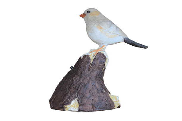 Bewegungsmelder Vogel