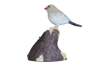 Bewegungsmelder Vogel Bewegungsmelder Vogel