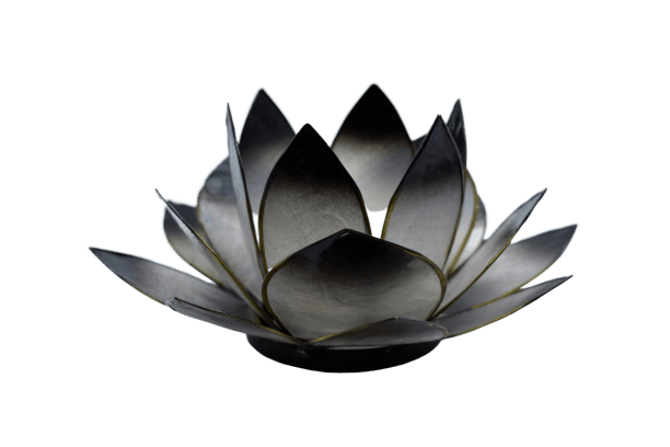 Lotus Licht | schwarz