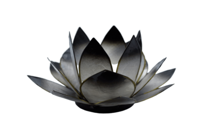 Lotus Licht | schwarz