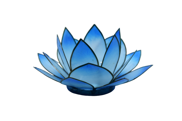 Lotus Licht | blau