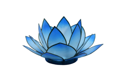 Lotus Licht | blau