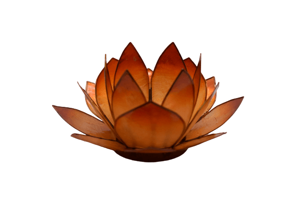 Lotuslicht | orange