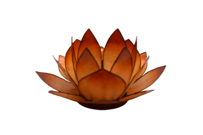 Lotuslicht | orange