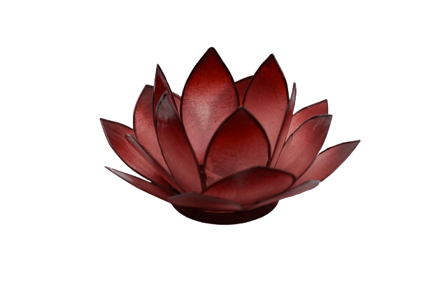 Lotuslicht | rot