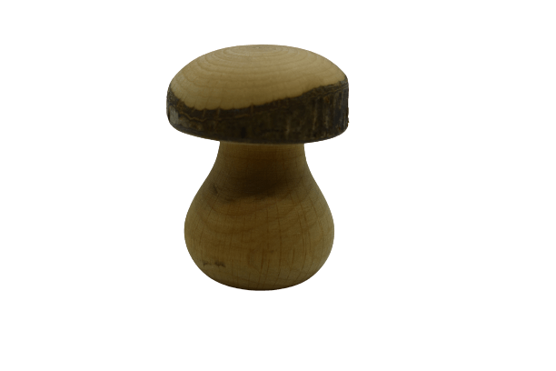 Pilz aus Holz