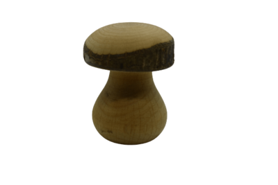 Pilz aus Holz