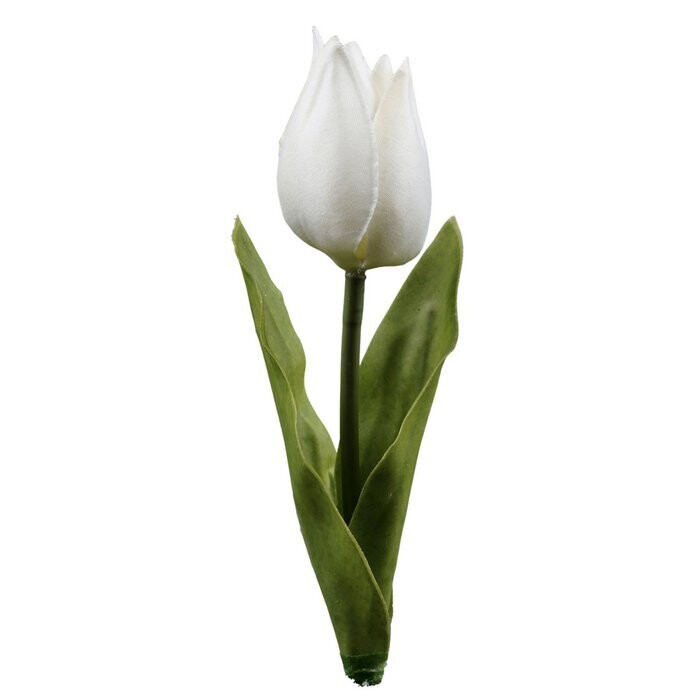Tulpenpick mit Blättern, leicht geöffnet, weiß