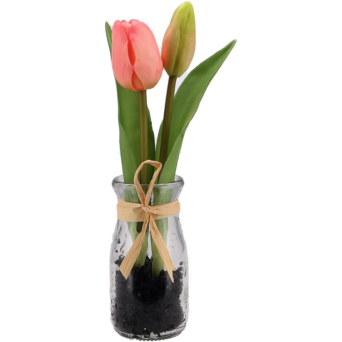 Tulpe im Glas, puderrosa