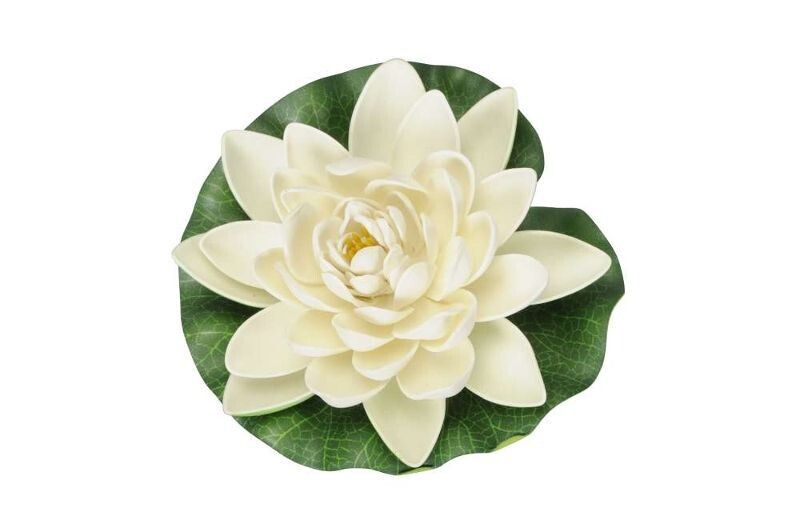 Seerose schwimmend | weiß
