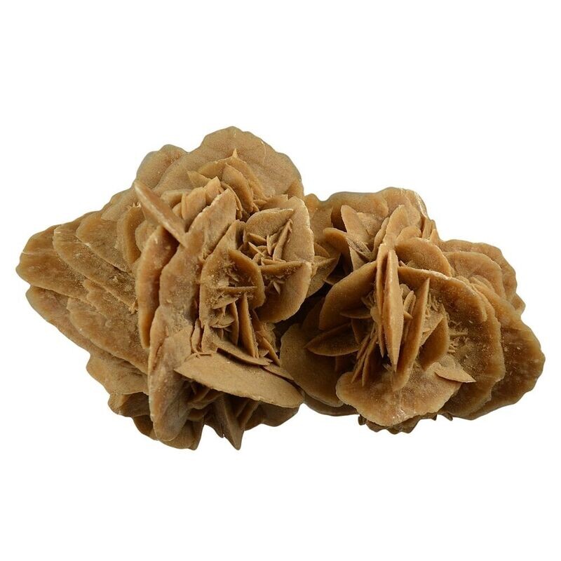 Sandrose aus Tunesien 1,0 - 2,0 kg Sandrose aus Tunesien 1,0 - 2,0 kg