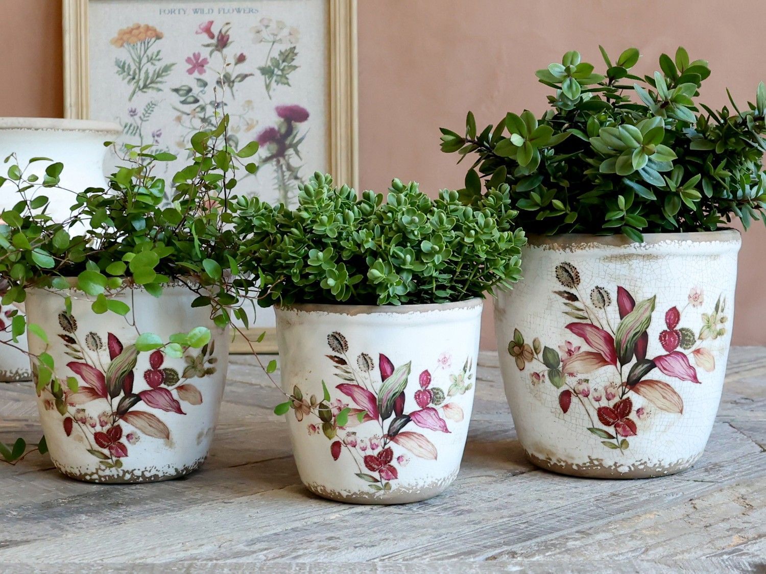 Blumentopf mit Blumen Motiv