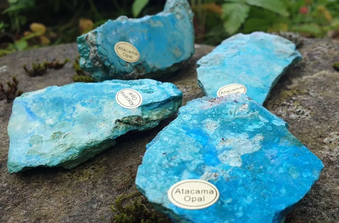 Anschliffe Atacama-Opal