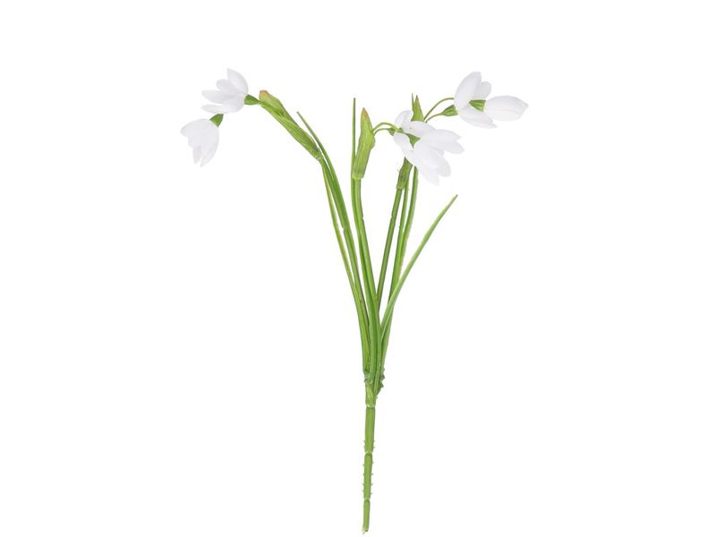 Schneeglöckchen zum stecken