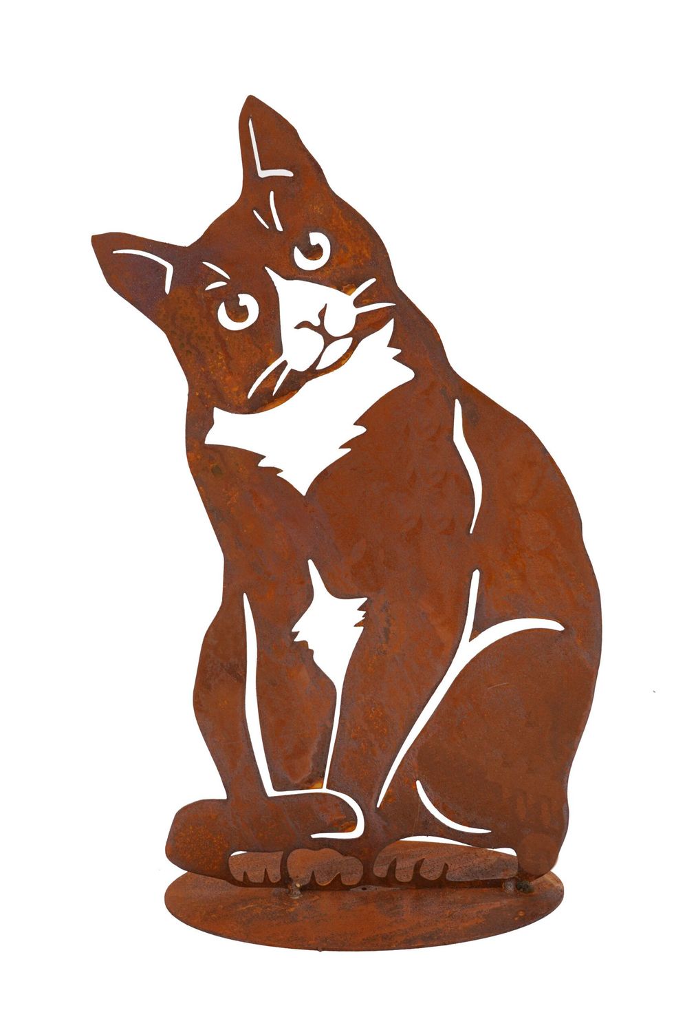 Rost Katze auf Bodenplatte