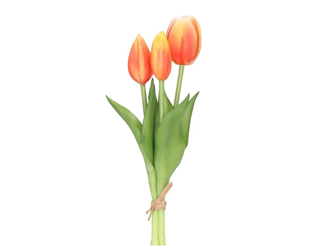 Tulpenbund | orange gelb