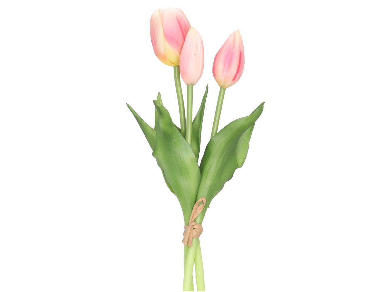 Tulpenbund | rosa creme