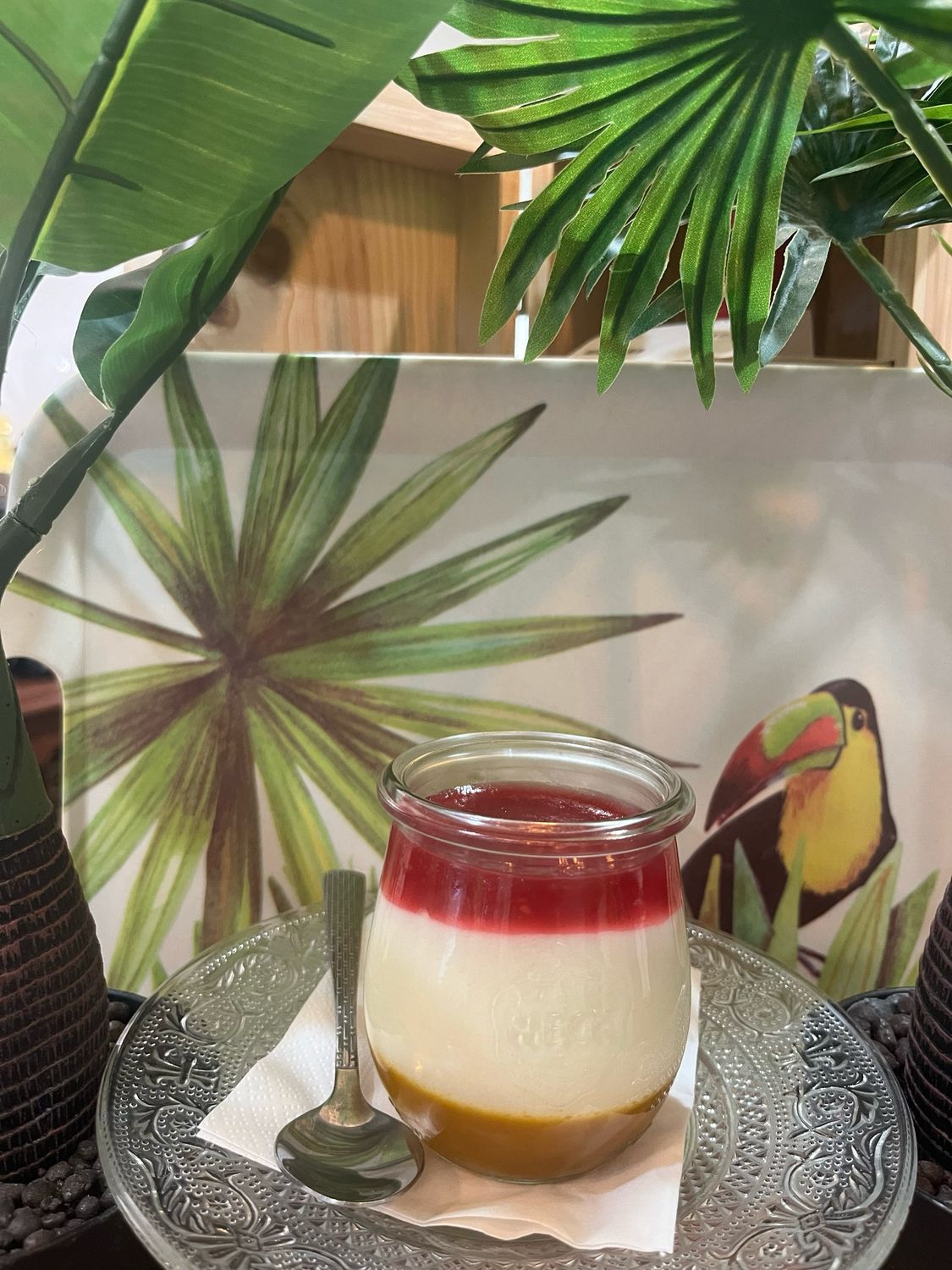 Vivaldi mangue fruits rouges 220ML