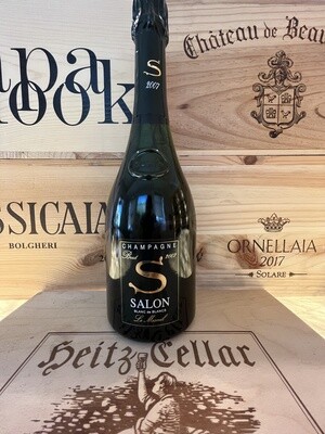 Salon Champagne 2013 (99 V)