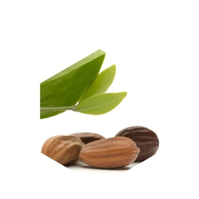 Jojoba Esters