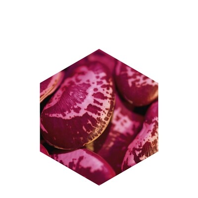 B Complex Vitamins