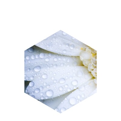 Hyaluronic Acid