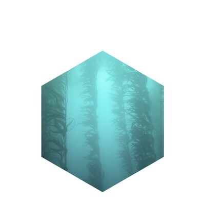 Marine-derived Ssunscreen