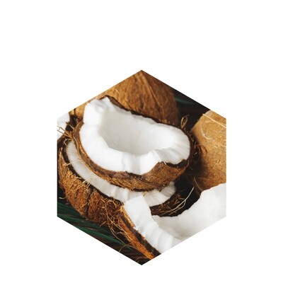 Patented plant-derived bio-tech oils