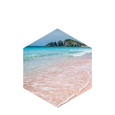 Actigym™ marine ingredient