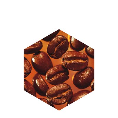Caffeina e Teofillina