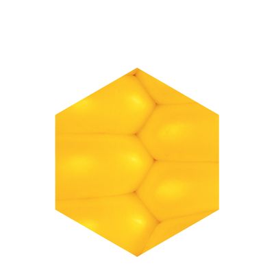 Vitamin F (Essential Fatty Acids / Omega 3 and 6)