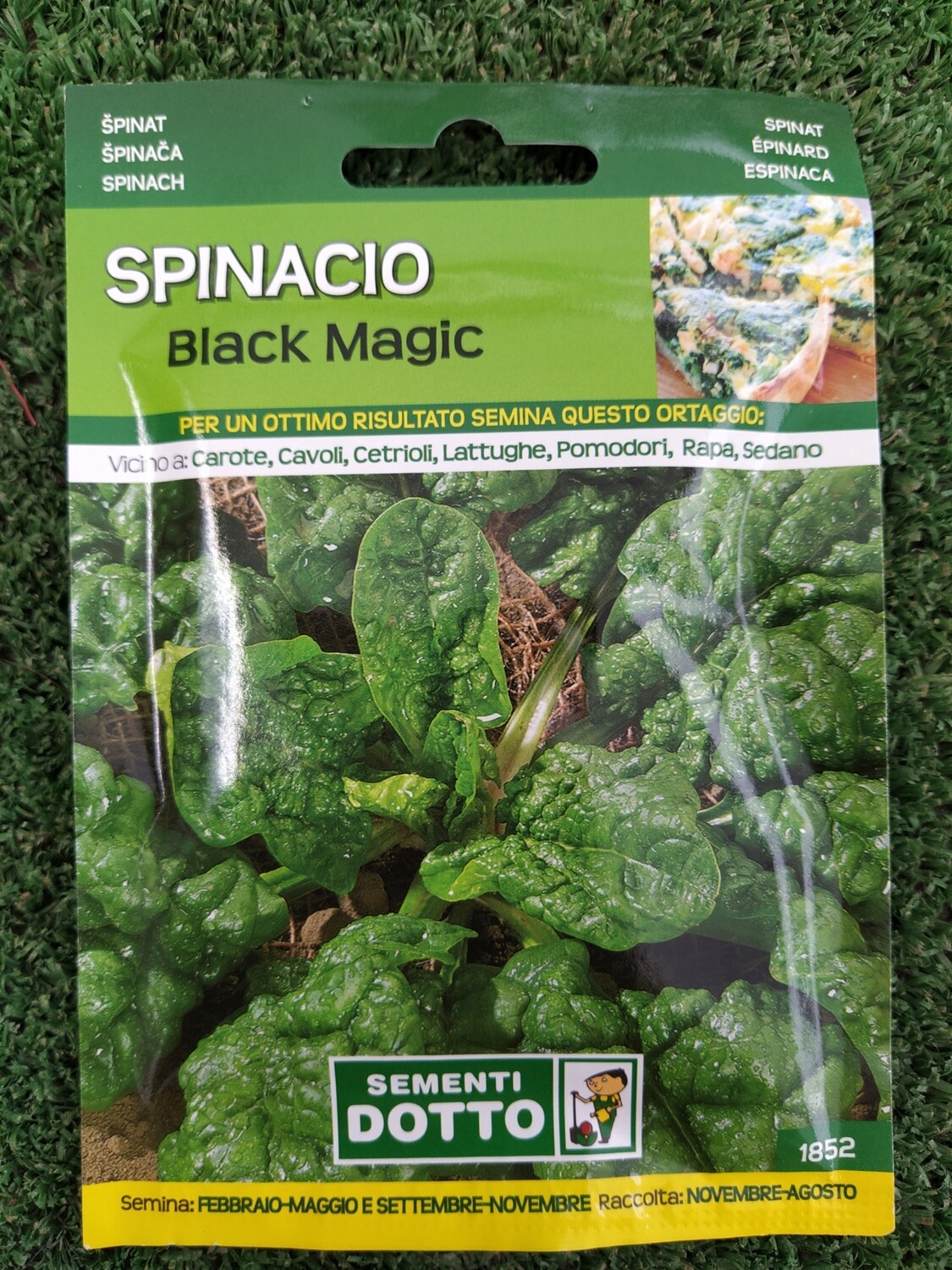 SPINACIO BLACK MAGIC BUSTA SEMI