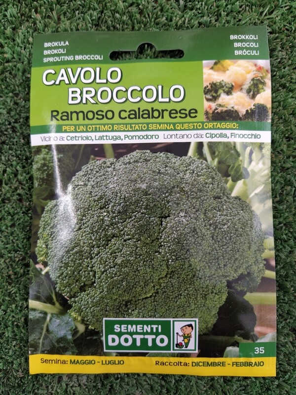 Broccolo - Busta semi