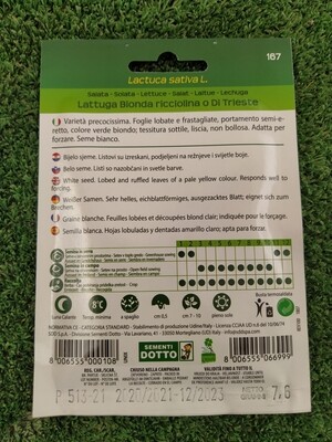 Lattuga bionda ricciolina o di Trieste - Busta semi
