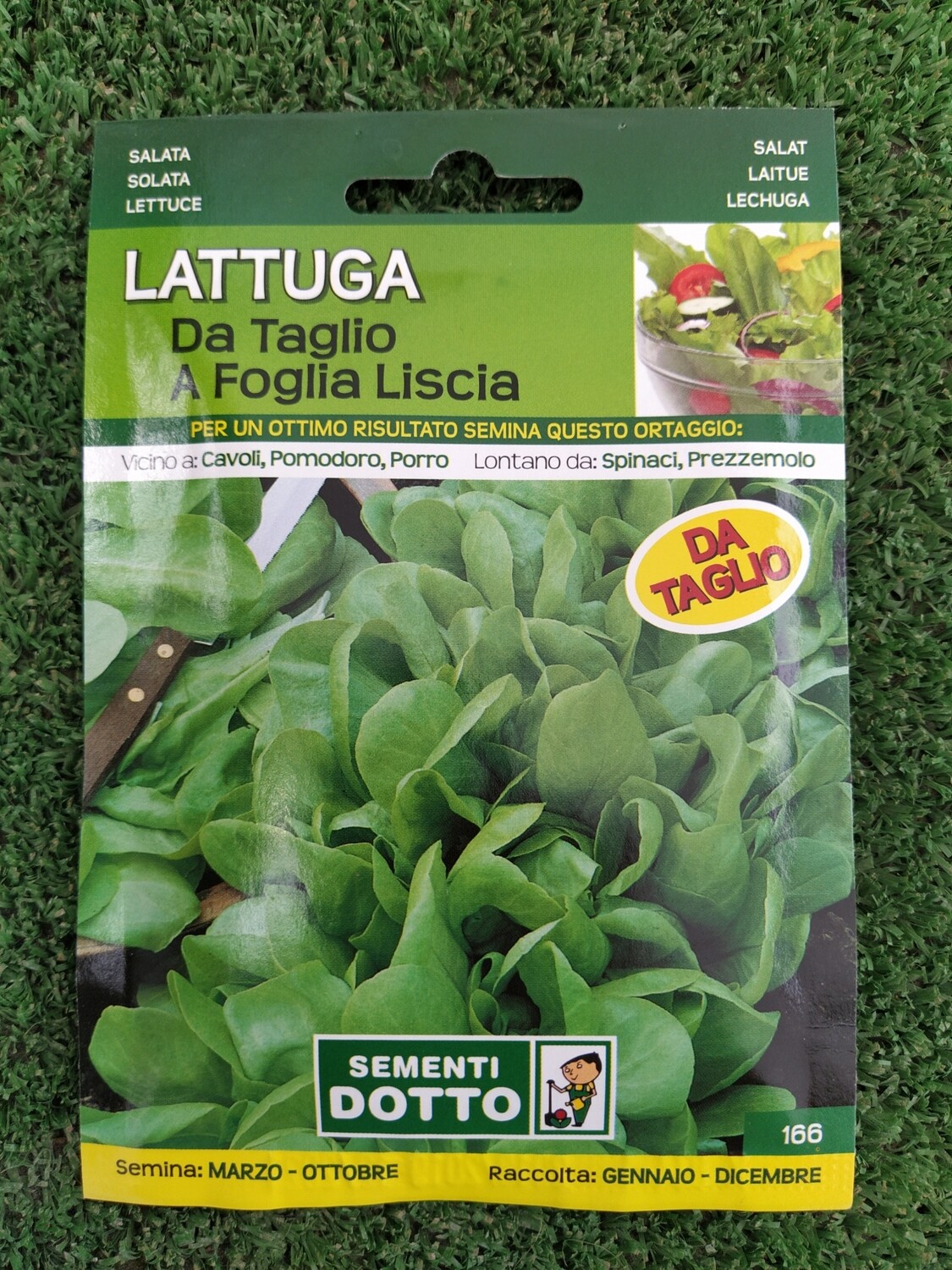 LATTUGA DA TAGLIO A FOGLIA LISCIA SEMI