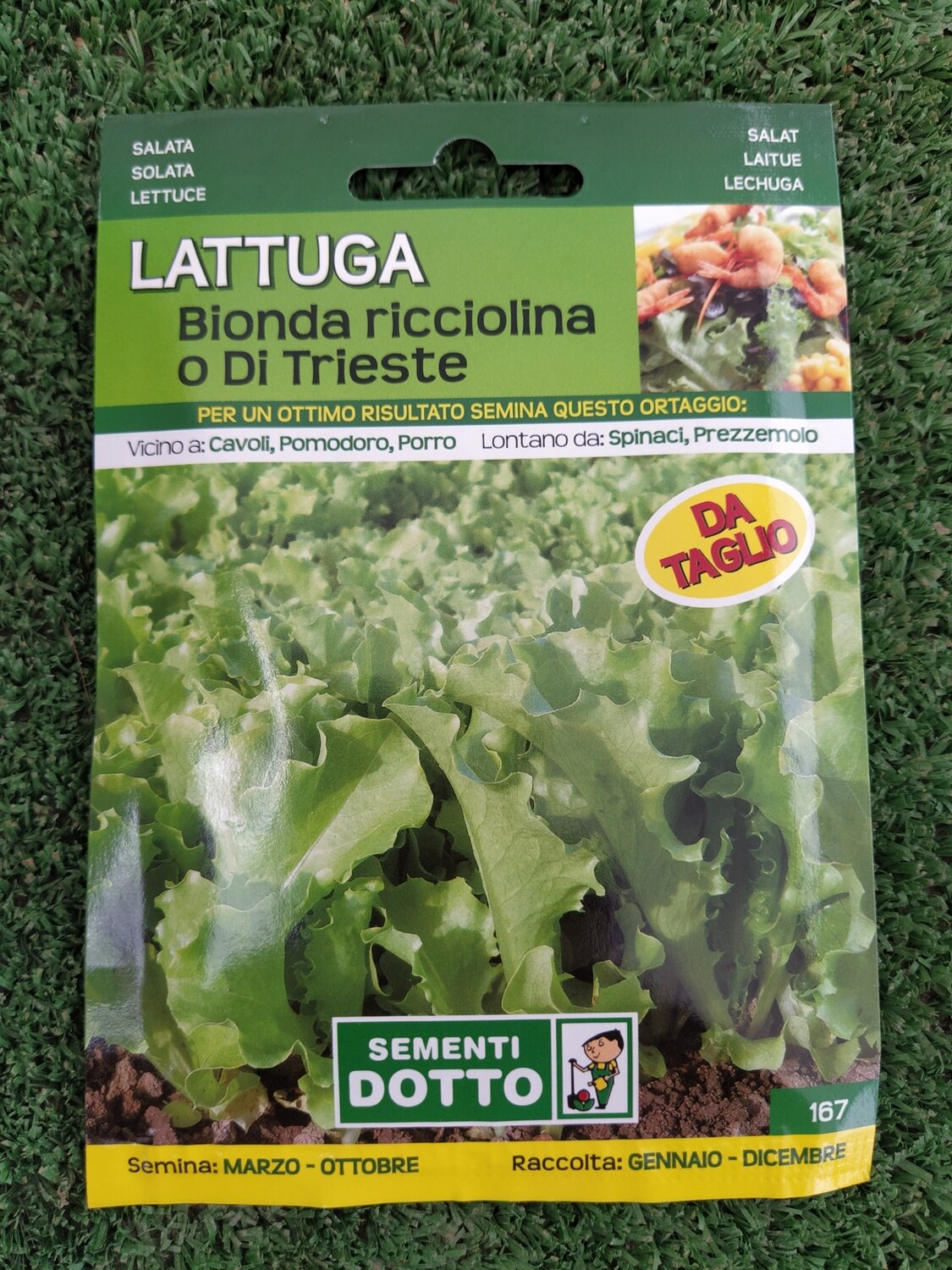 LATTUGA BIONDA RICCIOLINA O DI TRIESTE BUSTA SEMI