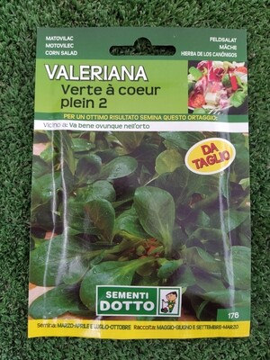 VALERIANA BUSTA VALERIANA BUSTA