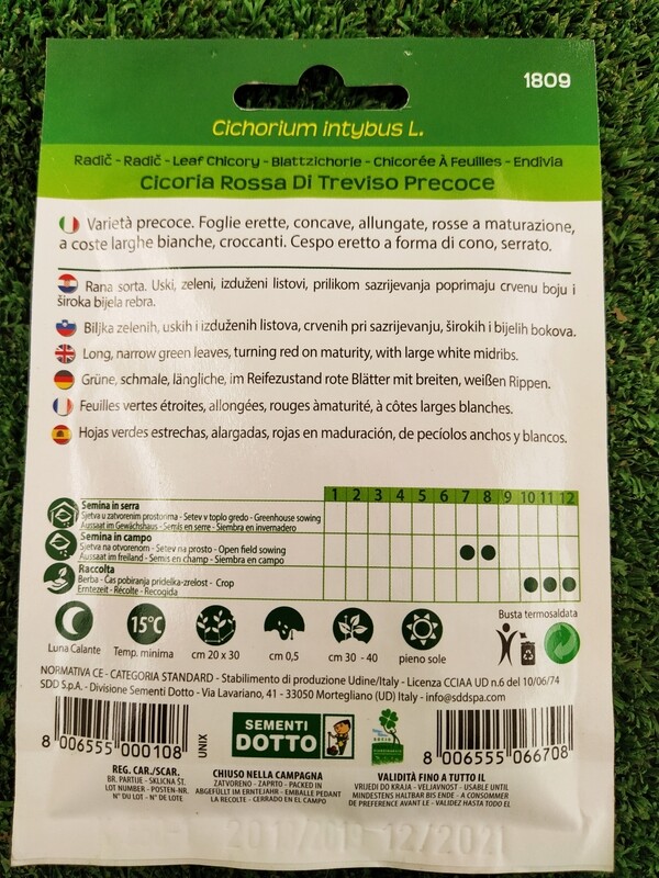 Cicoria Rossa di Treviso precoce - Busta semi
