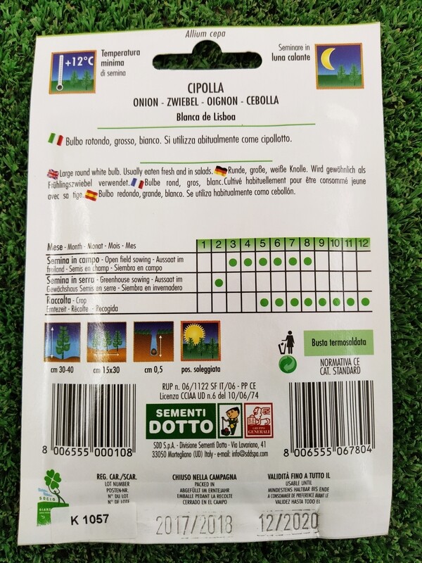 Cipolla Bianca De lisboa - Busta semi