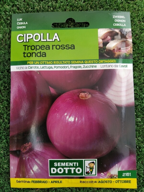 Cipolla Tropea Rossa tonda - Busta semi