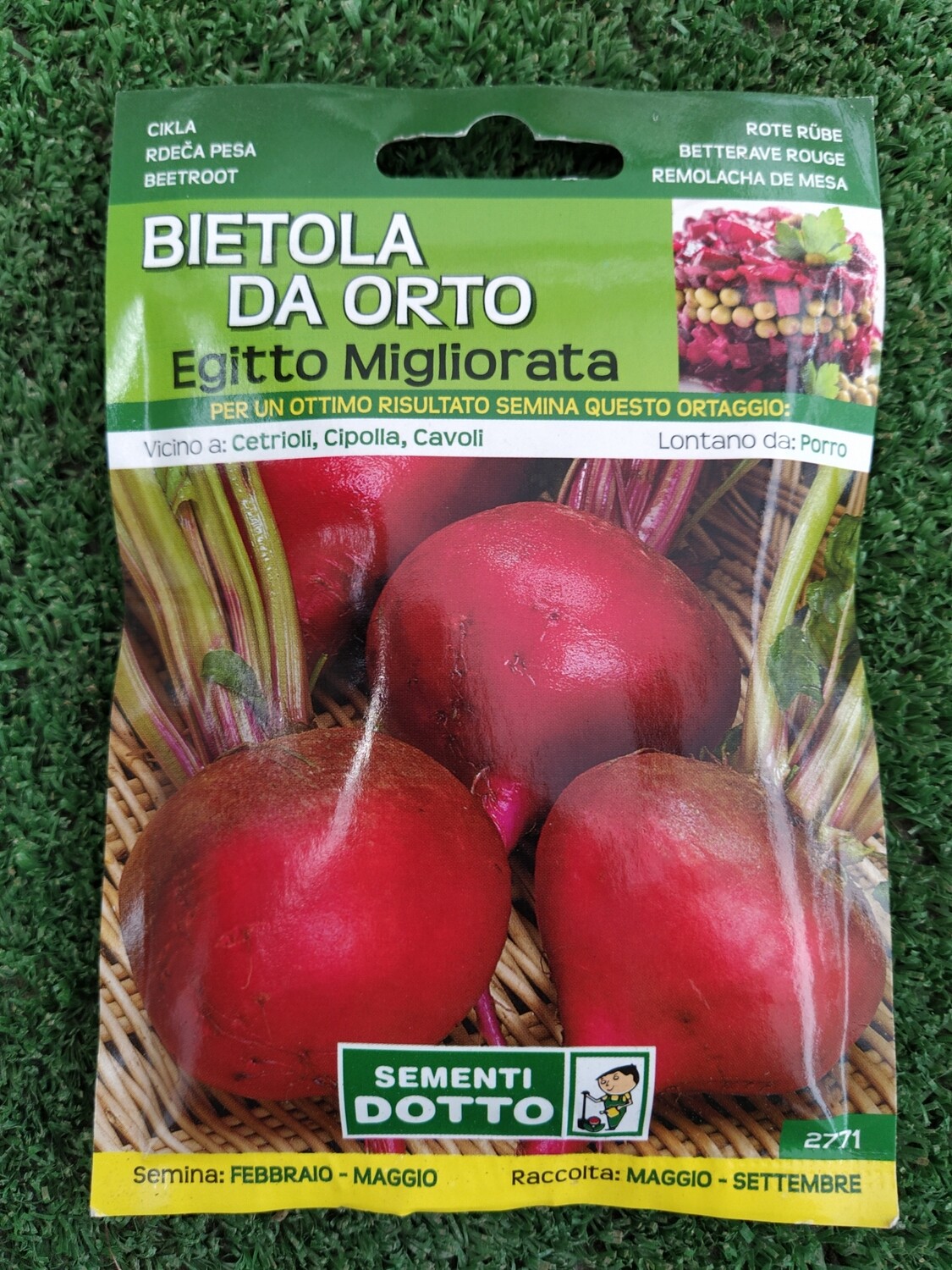 Bietola da Orto Egitto Migliorata - Busta semi