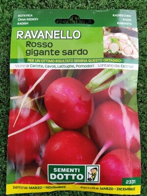 Ravanello rosso gigante sardo - Busta semi