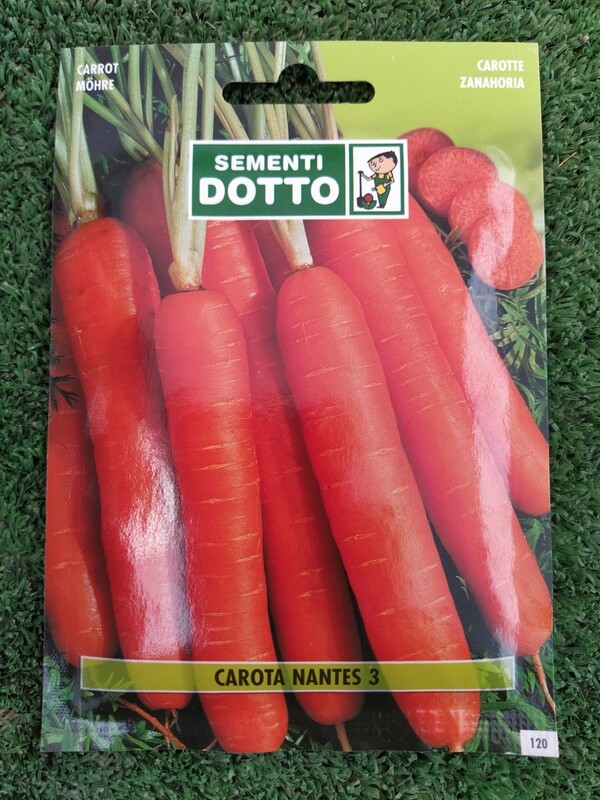 Carota Nantes - Busta semi